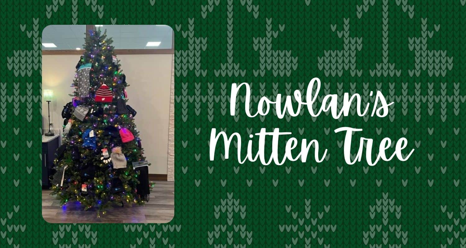 Featured image for “Nowlan’s Mitten Tree”